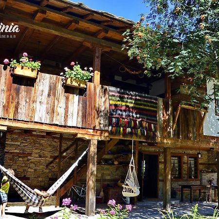 Kalinia Guesthouse B&B Kovačevica Exterior foto