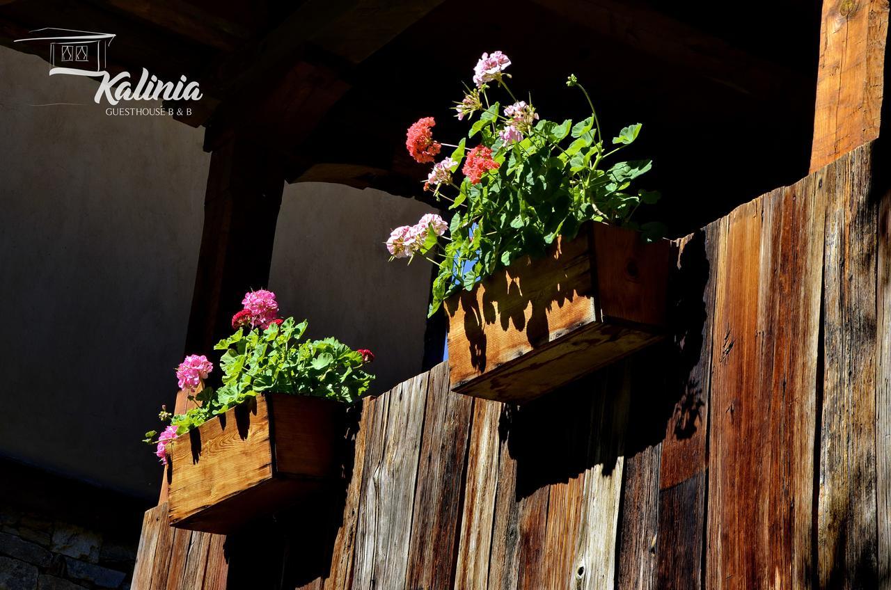Kalinia Guesthouse B&B Kovačevica Exterior foto
