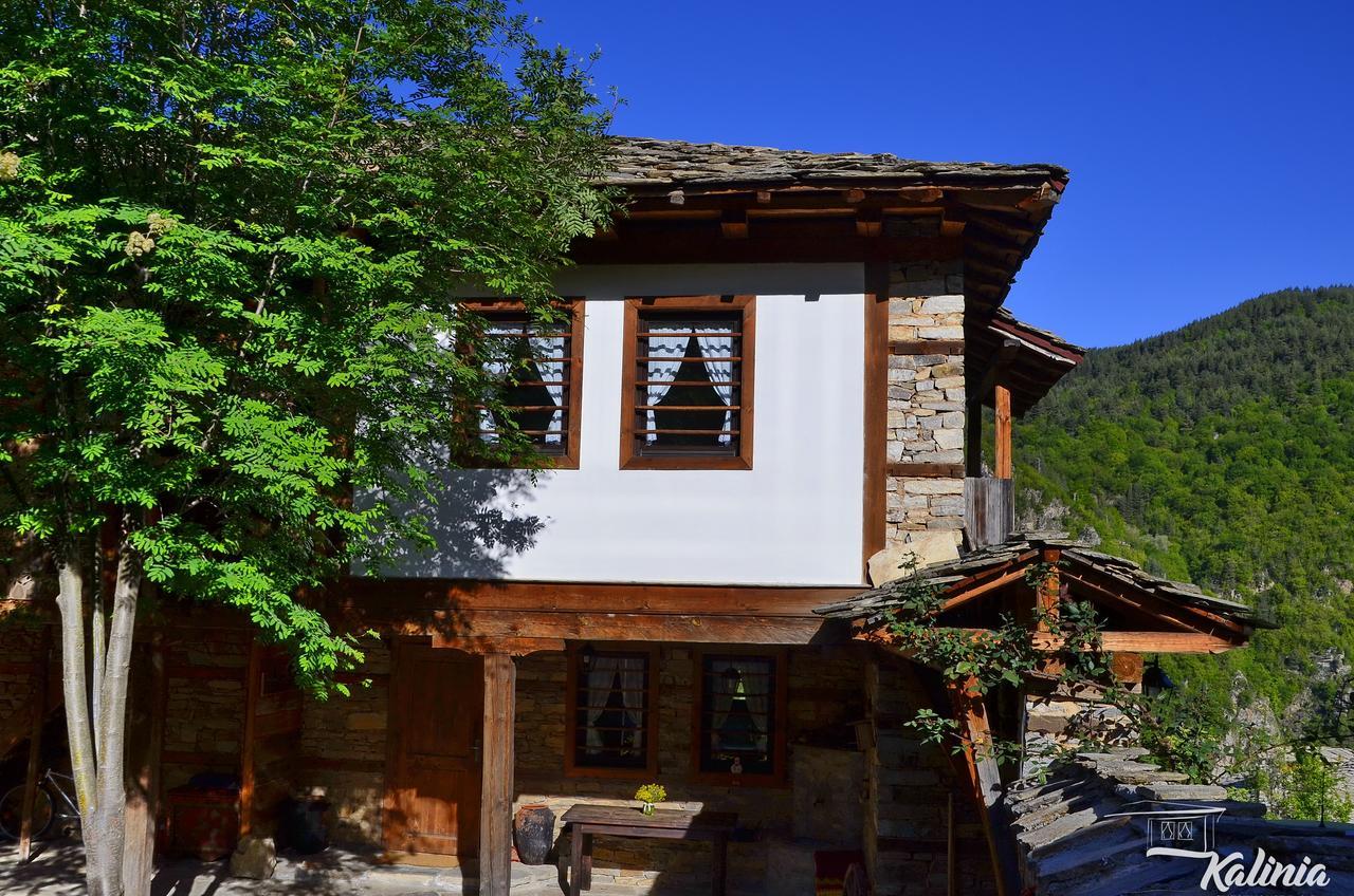 Kalinia Guesthouse B&B Kovačevica Exterior foto