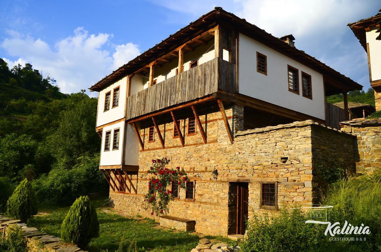 Kalinia Guesthouse B&B Kovačevica Exterior foto