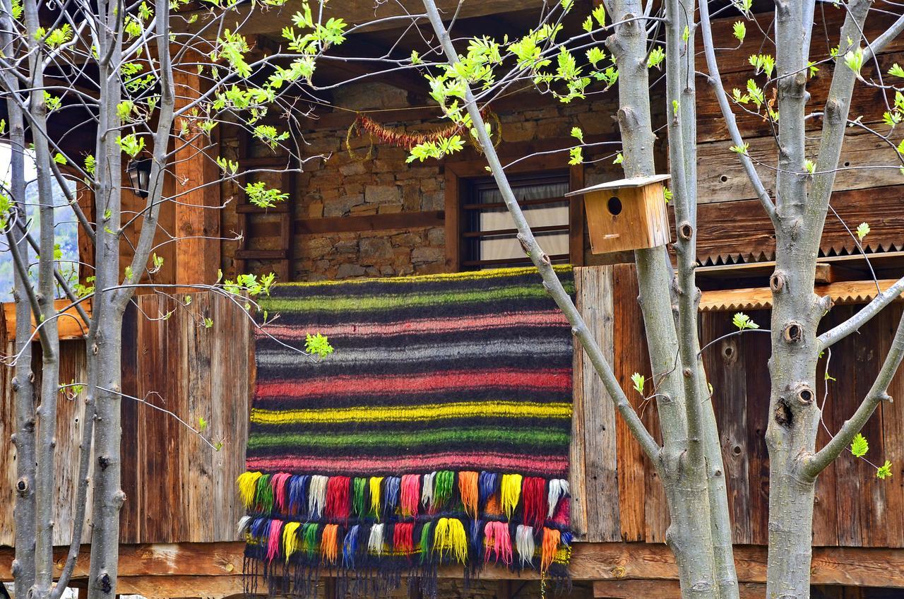Kalinia Guesthouse B&B Kovačevica Exterior foto