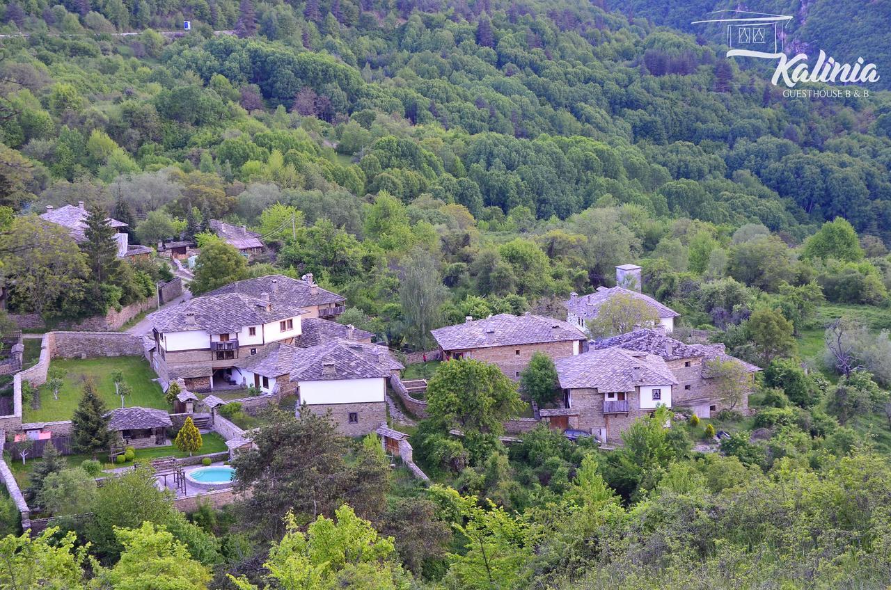 Kalinia Guesthouse B&B Kovačevica Exterior foto