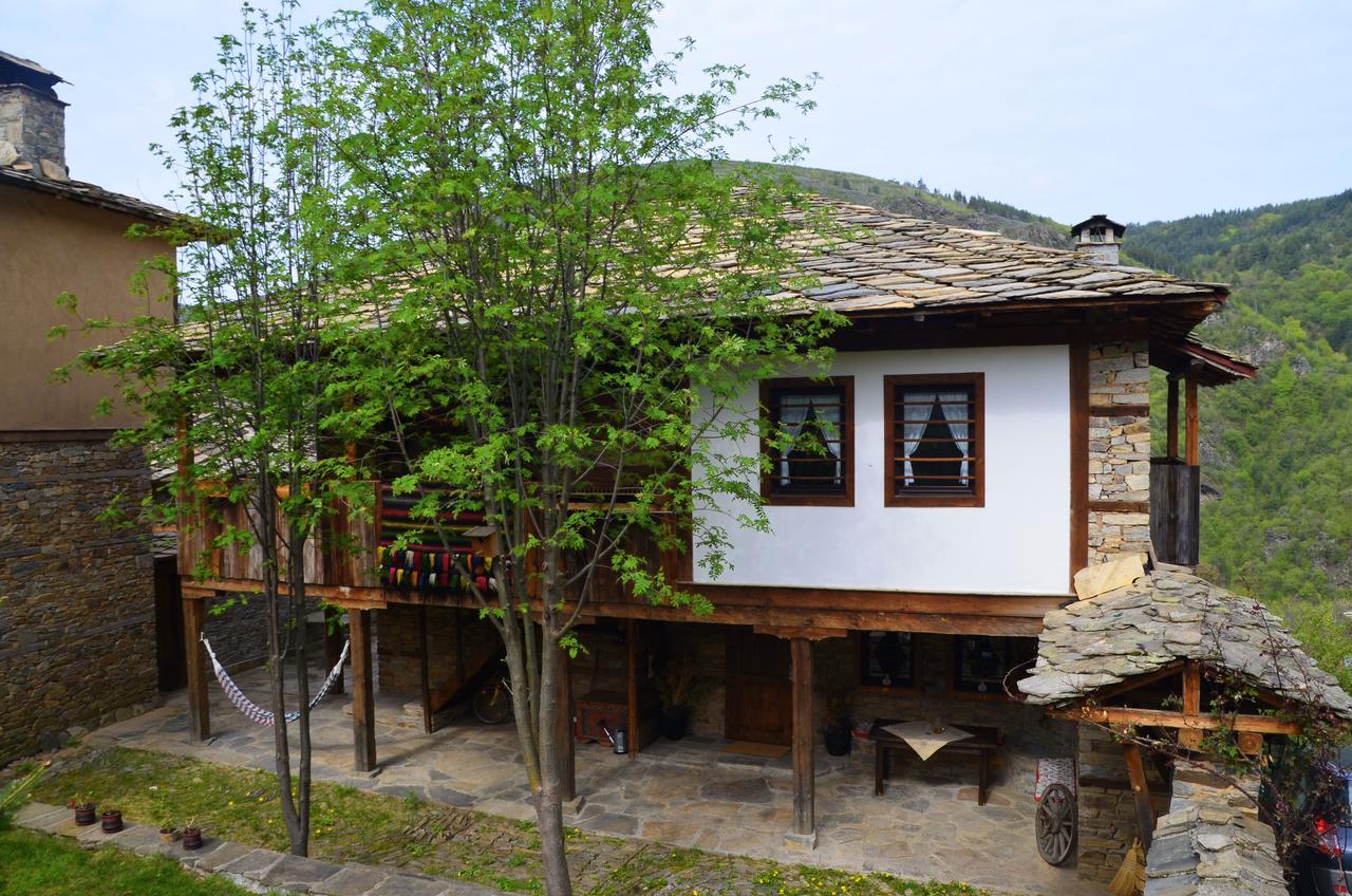 Kalinia Guesthouse B&B Kovačevica Exterior foto