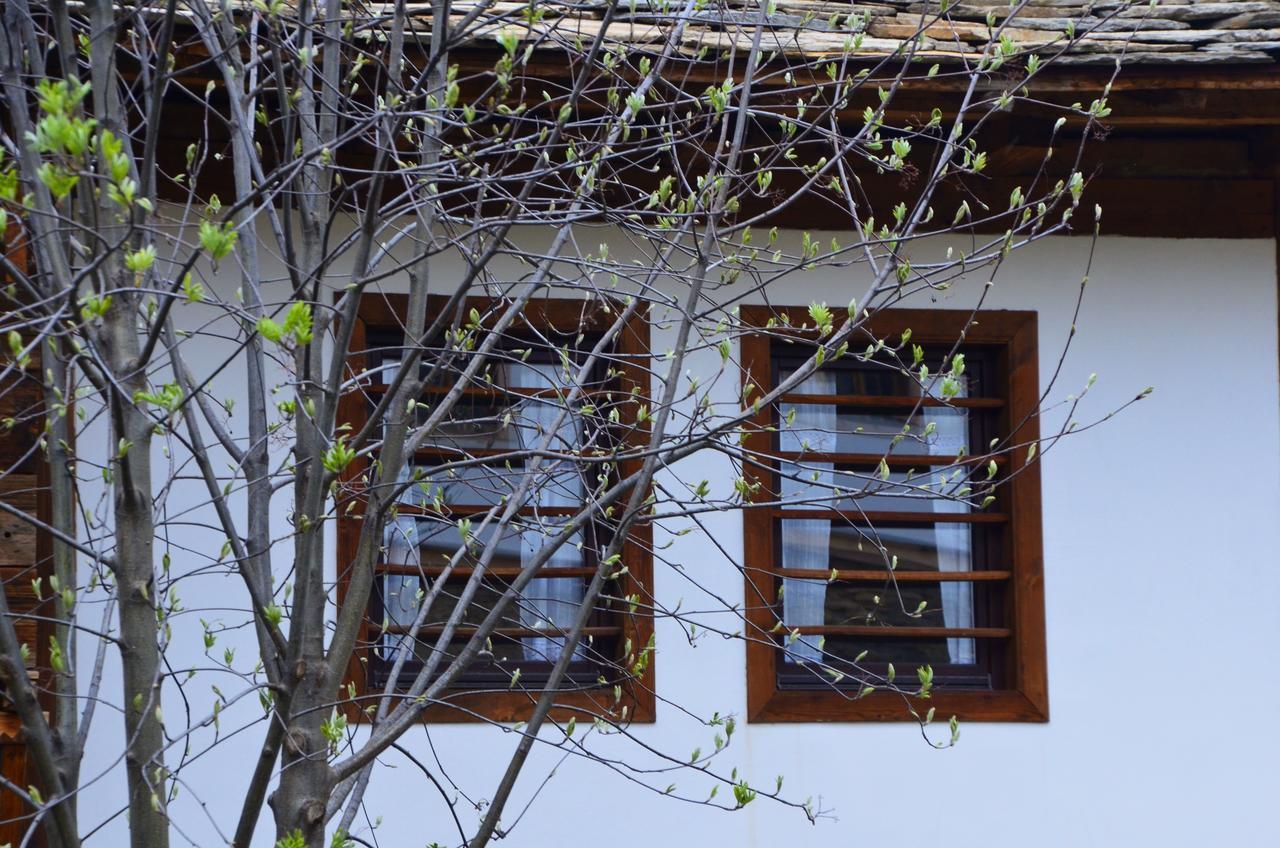 Kalinia Guesthouse B&B Kovačevica Exterior foto