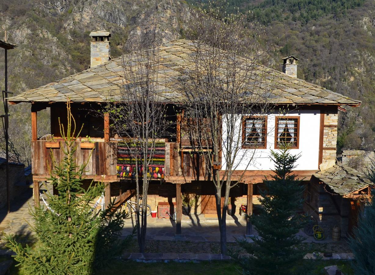 Kalinia Guesthouse B&B Kovačevica Exterior foto