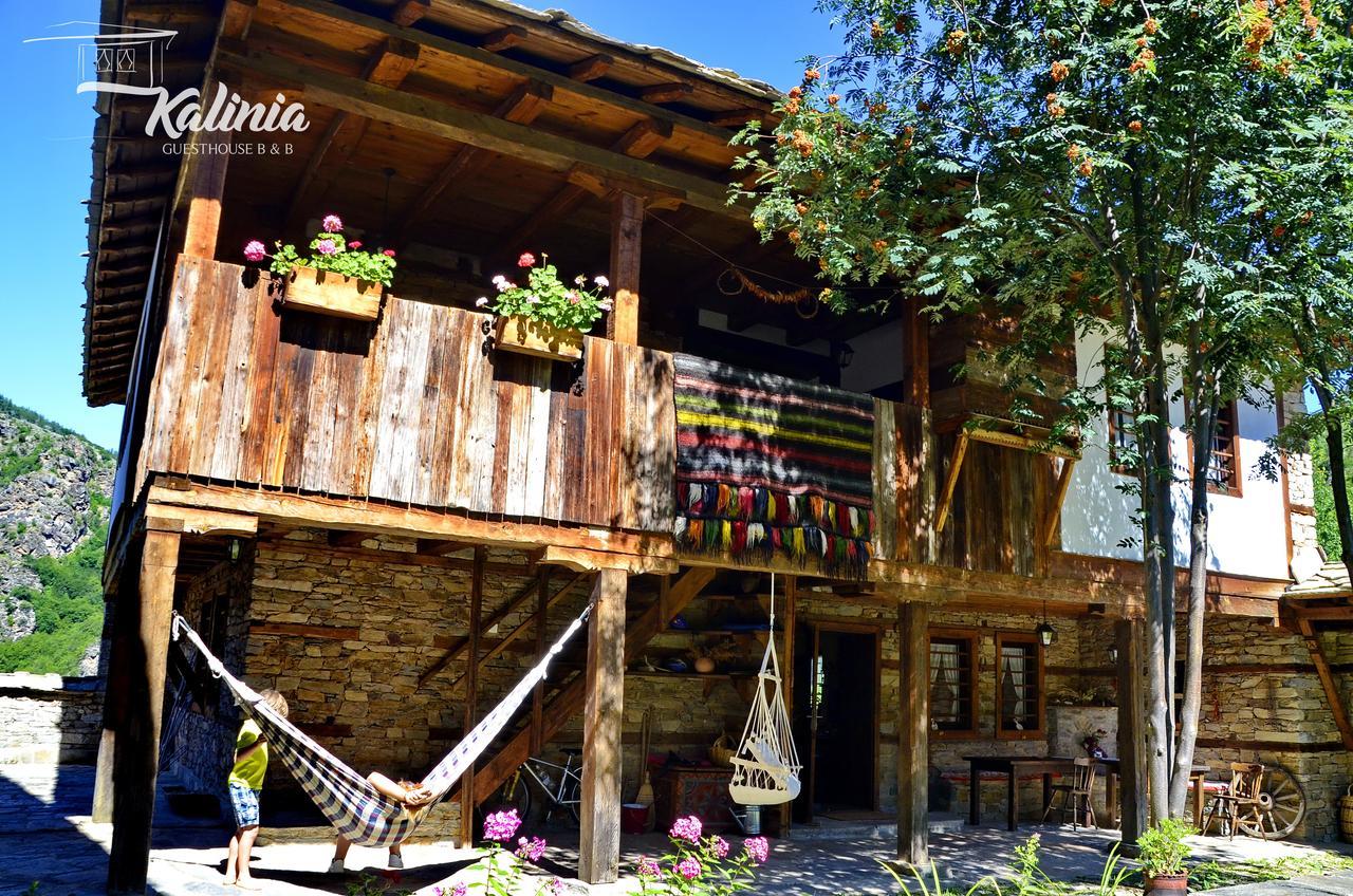 Kalinia Guesthouse B&B Kovačevica Exterior foto