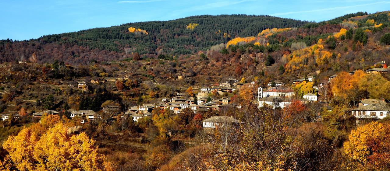 Kalinia Guesthouse B&B Kovačevica Exterior foto